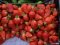 Скільки коштує перша полуниця на ринку у Луцьку