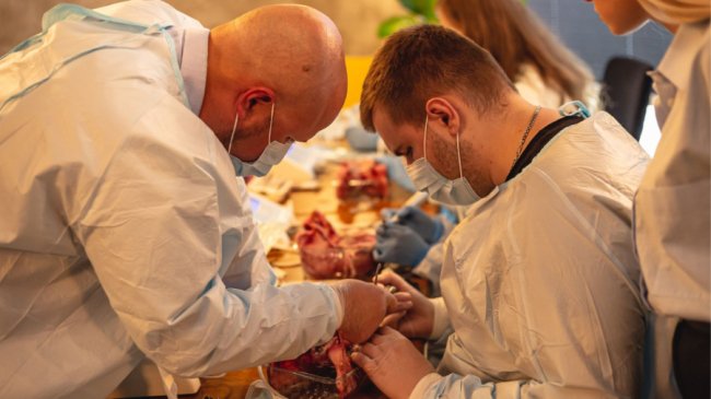 Навчальна платформа для медиків UNIVERSE: як Олена Василюк прагне навчати та створити ком'юніті медиків Волині