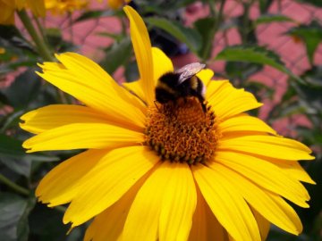 Прогноз погоди у Луцьку та на Волині на 27 травня