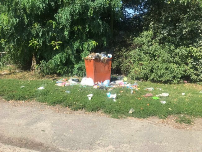 Нестерпний сморід у місті: в Устилузі комунальники два тижні не вивозять сміття. ФОТО