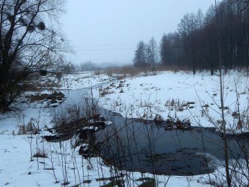 Отруйні викиди на сміттєзвалищі під Луцьком забруднюють підземні води, – Данильчук