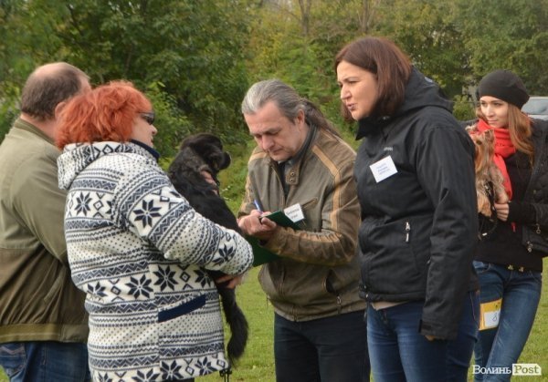 У Луцьку – виставка собак. ФОТО