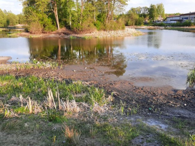 Купи сміття та обміління: показали, який вигляд має озеро у Ківерцях. ФОТО