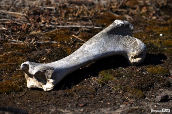 Фотопогляд: Луцьк за межами 40-го району. ФОТО