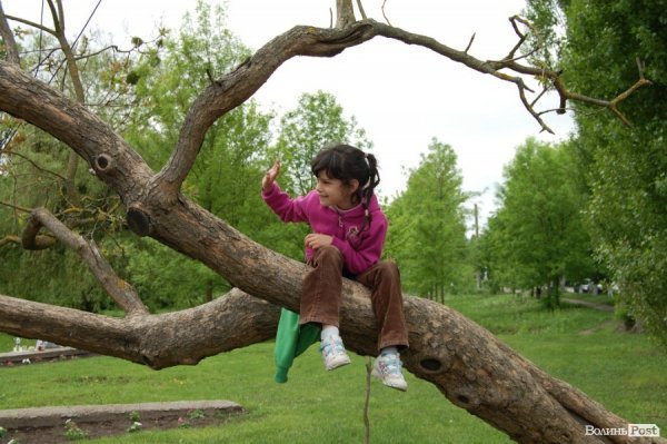 Як у Луцьку їли кашу і співали фронтових пісень