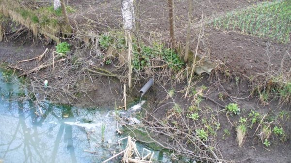 Як в середньовіччі: в Ківерцях люди виливають нечистоти на вулиці. ФОТО