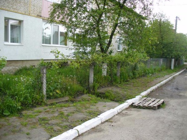 Як в середньовіччі: в Ківерцях люди виливають нечистоти на вулиці. ФОТО