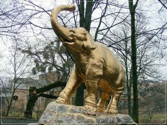 Як луцький слоник змінював кольори. ФОТО 