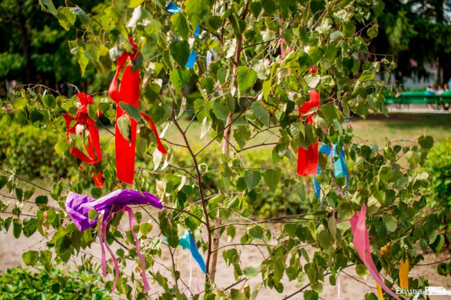 Незабутні знайомства і розваги: як діти з Луганщини провели день у таборі на Світязі. ФОТО