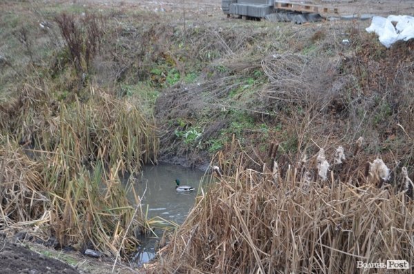 У Луцьку Сапалаївку приводять до ладу. ФОТО