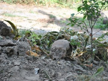 У Володимирі-Волинському біля магазину знайшли людський череп