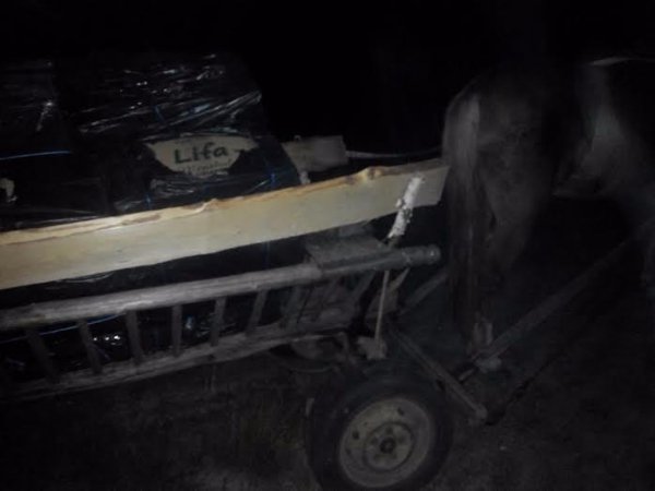 Контрабандні цигарки намагались переправити за кордон річкою. ФОТО