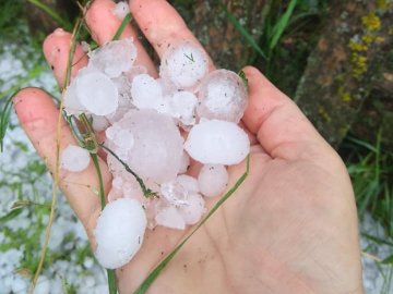 У районі на Волині випав сильний град, побив усю городину. ФОТО