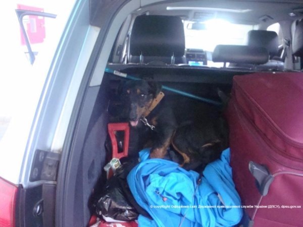 Через кордон поляк намагався перевезти зброю. ФОТО 