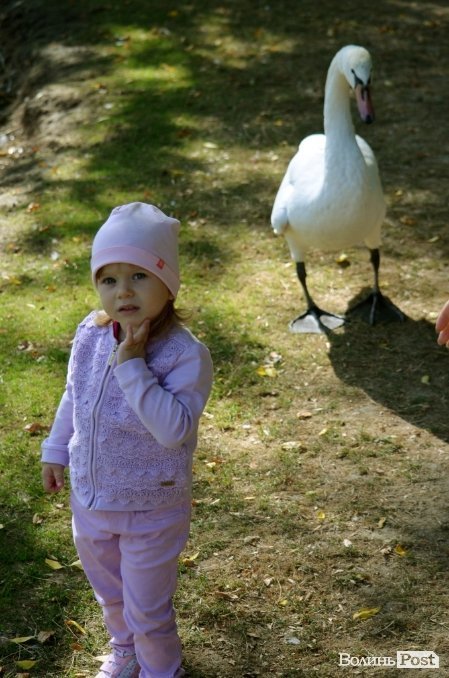 Фотопогляд: звірі луцького зоопарку