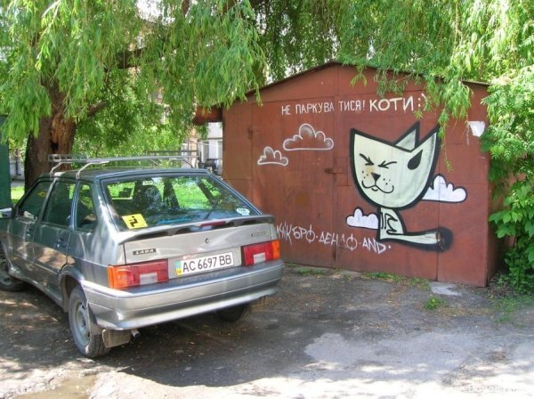 У Луцьку хочуть нові парковки, паркінги і навіть автоевакуатори