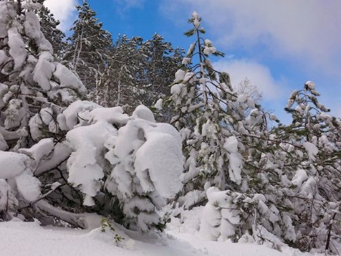 Частину Криму завалило снігом