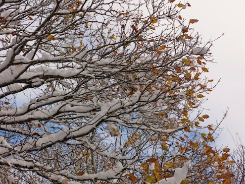 Частину Криму завалило снігом