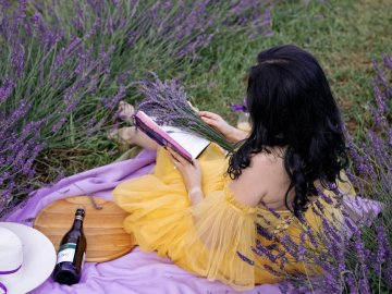 Найбільше лавандове поле Волині закриють через декілька днів 