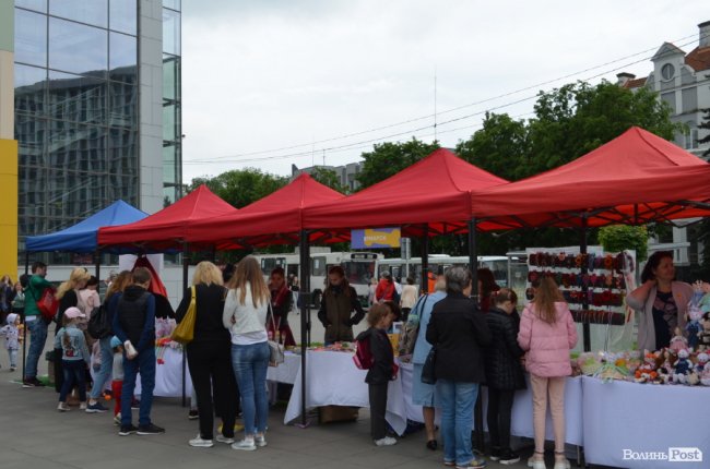 Фестиваль «Мокрі носики» біля луцького «Променя»: як безпритульним пухнастикам шукали дім. ФОТО