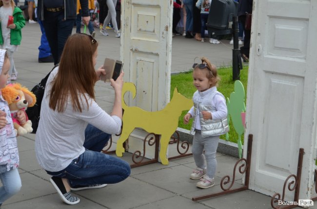 Фестиваль «Мокрі носики» біля луцького «Променя»: як безпритульним пухнастикам шукали дім. ФОТО