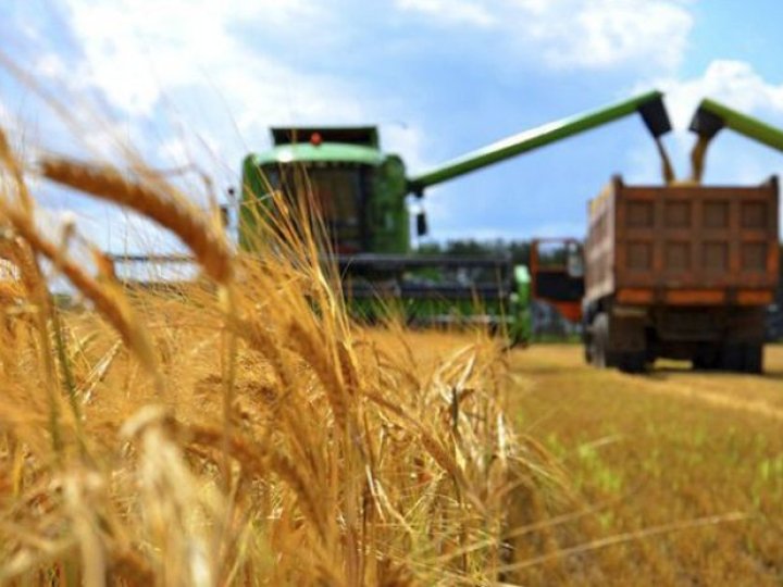 Волинь уже зібрала понад чверть врожаю зернових