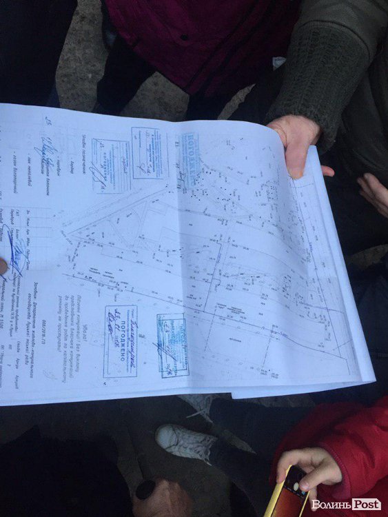 На Шопена у Луцьку зрубали здорові дерева: мешканці викликали на «допит» комунальників