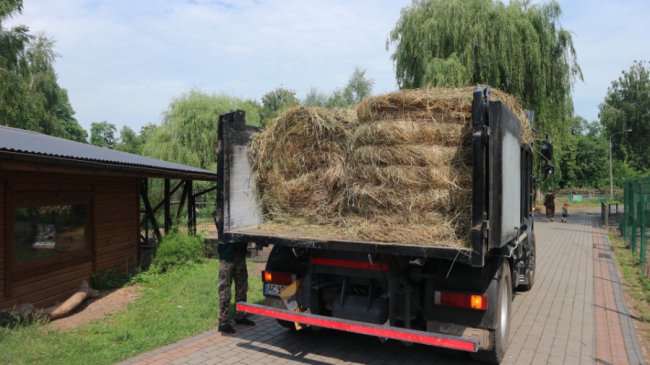 Підгайцівська громада подарувала Луцькому зоопарку сіно