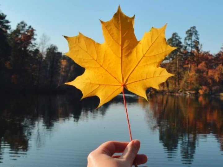 Погода в Луцьку та Волинській області на завтра, 7 жовтня