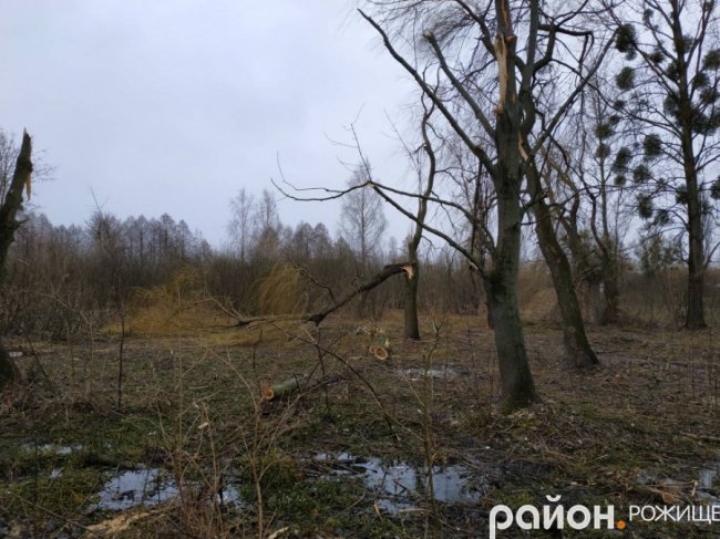 У Рожищі в парку вітер понищив дерева.ФОТО