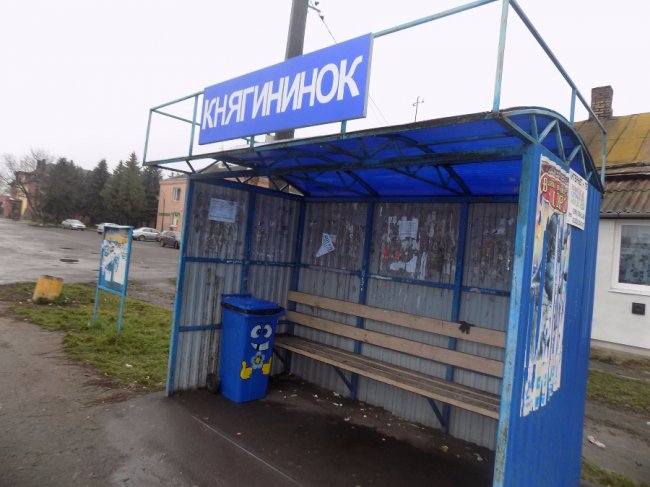 У селі під Луцьком встановили «веселі» і «сумні» сміттєві баки. ФОТО