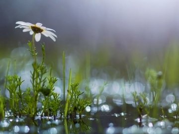 Погода у Луцьку на завтра, 3 квітня