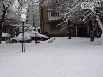 Лучани просять впорядкувати двір-пустку