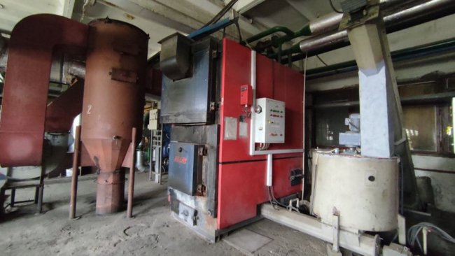 На Волині вияснили, чи вигідно опалювати енергетичною лозою