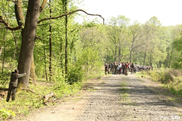 На Волині «пішли в ліси» дві сотні молодих людей. ФОТО