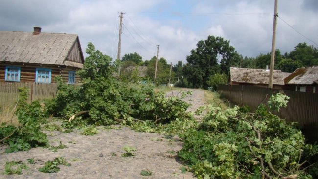 Повалені дерева, пошкоджений будинок і зупинка: у районі на Волині буревій наробив лиха. ФОТО