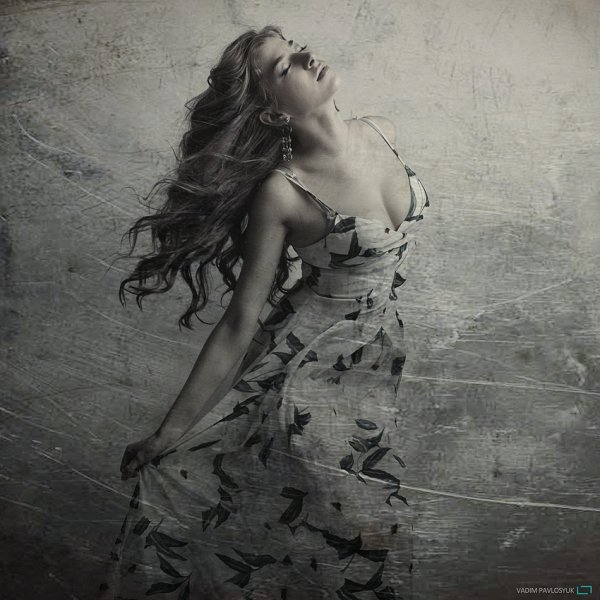 Фотовиставка Вадима Павлосюка