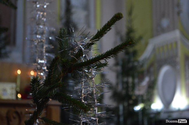 Магія Різдва: у луцькому соборі відбулося урочисте богослужіння. ФОТО