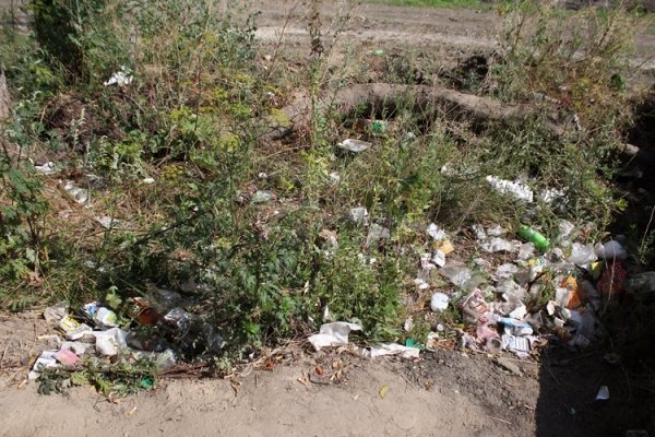 Партію «Народний контроль» звинуватили у маніпулюванні думкою лучан. ФОТО