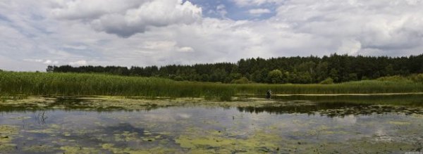 Неймовірна природа — гордість нашої країни. ФОТО