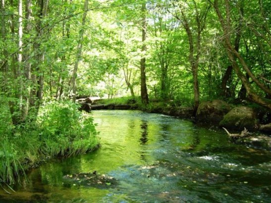 Неймовірна природа — гордість нашої країни. ФОТО