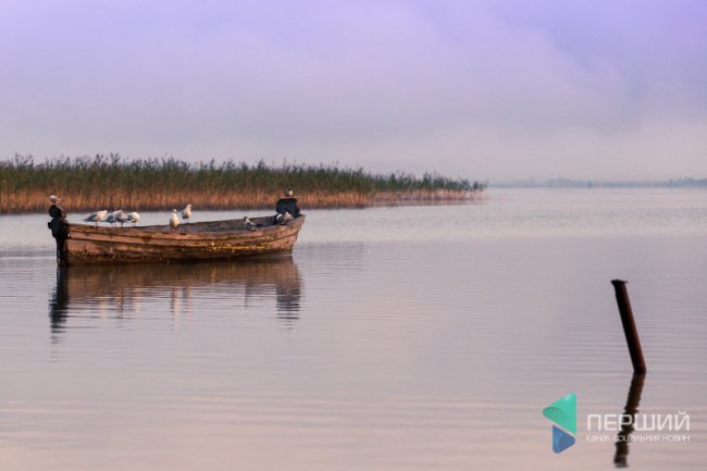 Опублікували фото оповитого туманом Світязю з висоти пташиного польоту