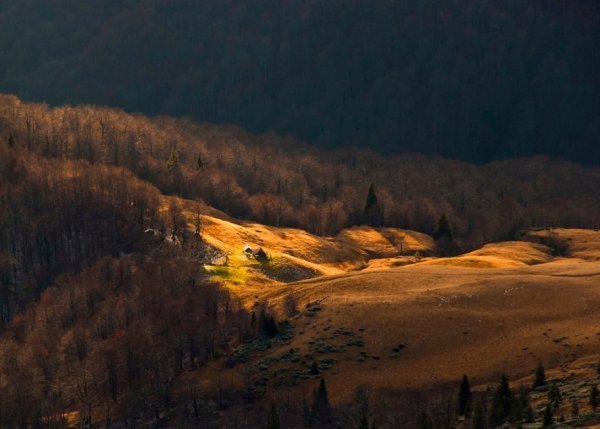 Пейзажі золотої пори: відтінки осені в Україні. ФОТО