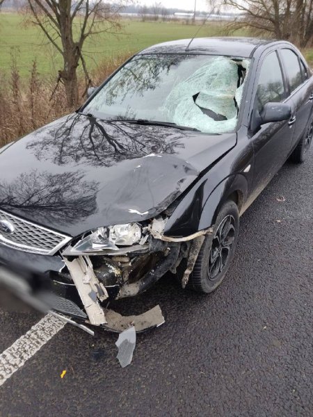 На Волині Ford на смерть збив пішохода. ФОТО