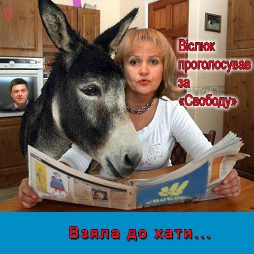 Бабуся і кіт: фотожабоманія триває. ФОТО