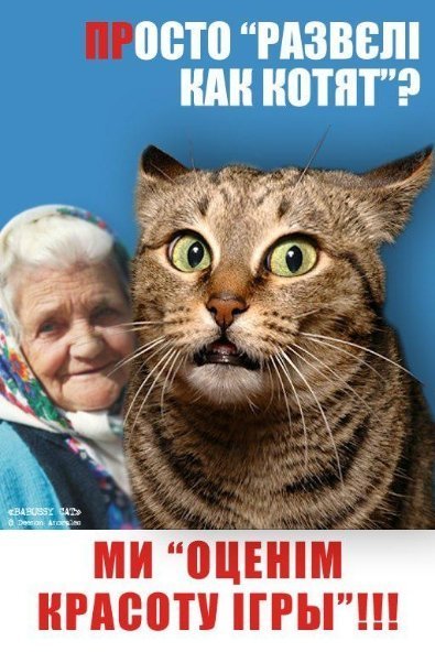 Бабуся і кіт: фотожабоманія триває. ФОТО