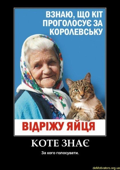 Бабуся і кіт: фотожабоманія триває. ФОТО