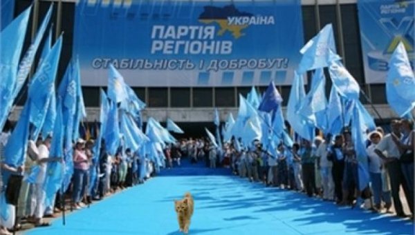 Бабуся і кіт: фотожабоманія триває. ФОТО