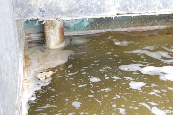 У «Луцькводоканалі» кажуть, що чистять фонтани, «на скільки це реально». ФОТО