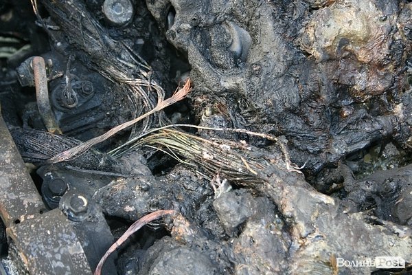 У Луцьку згорів автомобіль. ФОТО